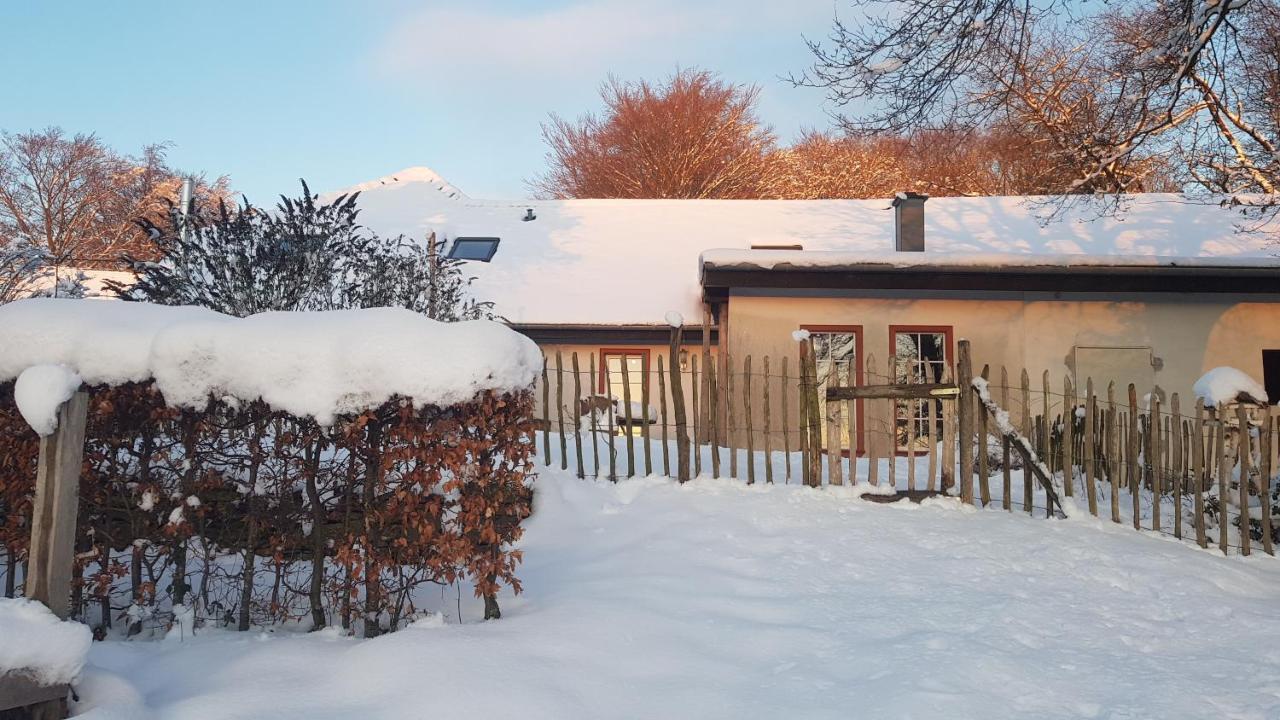 Sonnenschein Am Rursee 锡默拉特 外观 照片