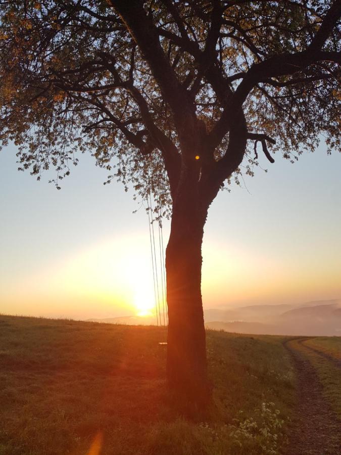 Sonnenschein Am Rursee 锡默拉特 外观 照片