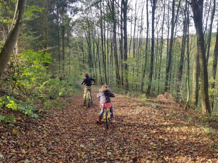 Sonnenschein Am Rursee 锡默拉特 外观 照片